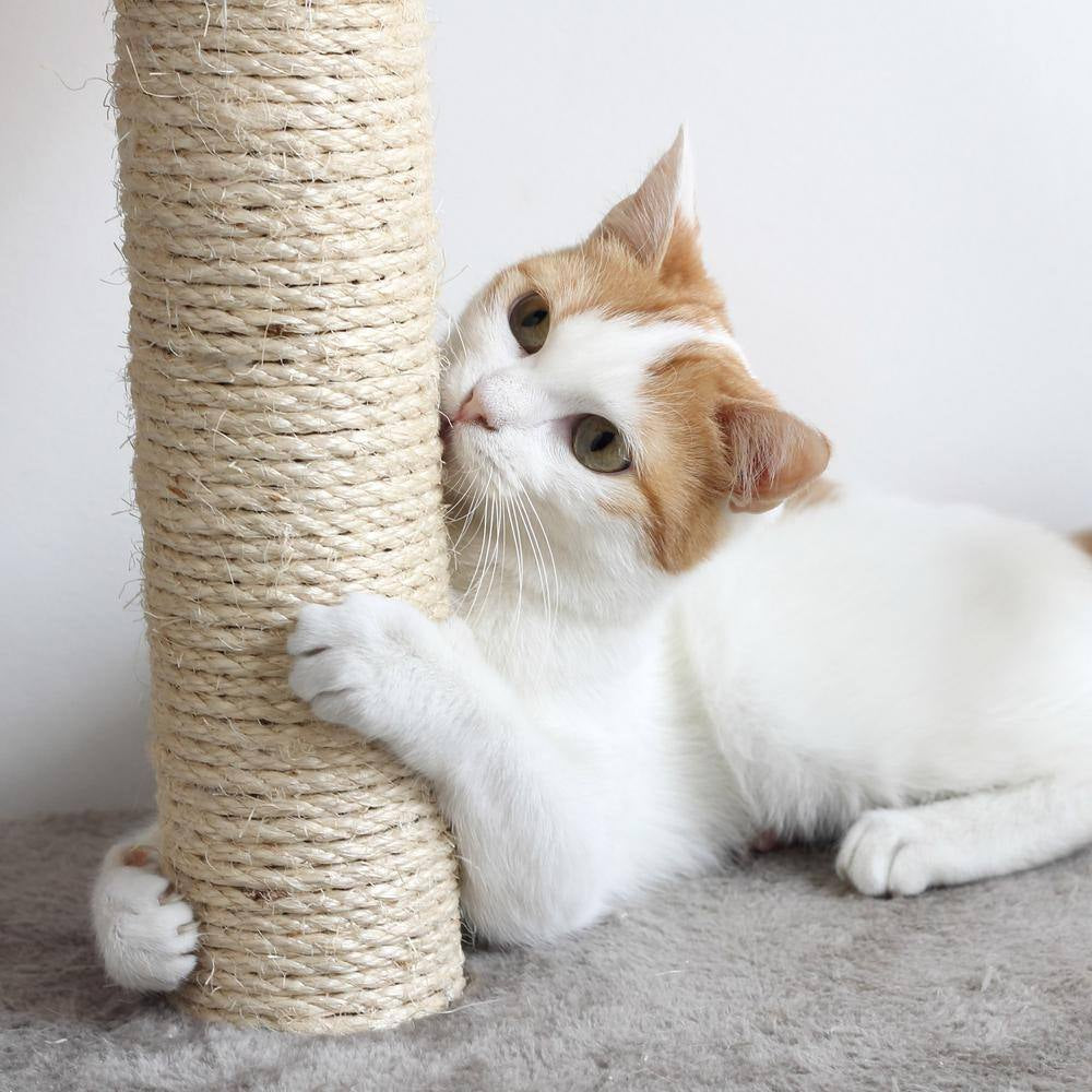 Tan and Cream 3 Pole Cat Scratching Post with Perch